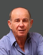 פרופ' חיים לוי